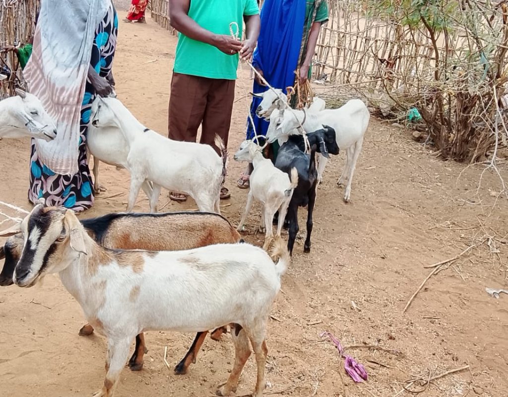 WhatsApp Image 2026-01-13 at 10.08.44