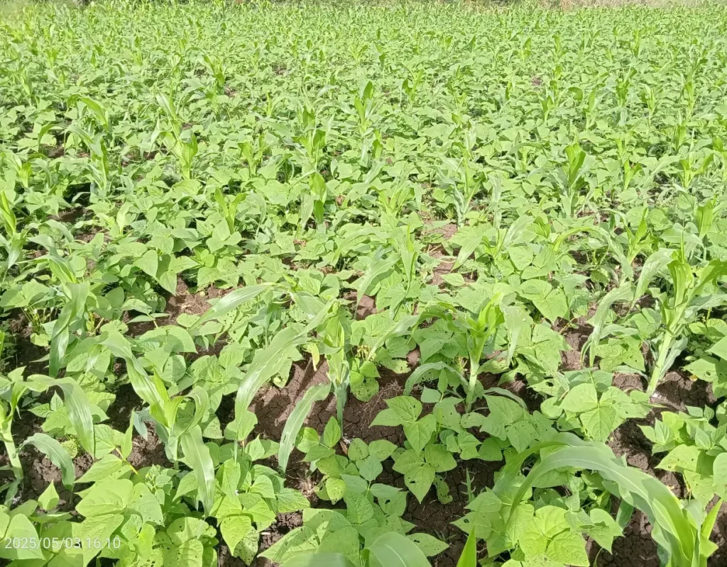 a6210d0c-9557-4505-93c1-fa2a5a1324d4